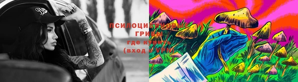 героин Алзамай