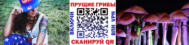 Галлюциногенные грибы Magic Shrooms  Зверево 