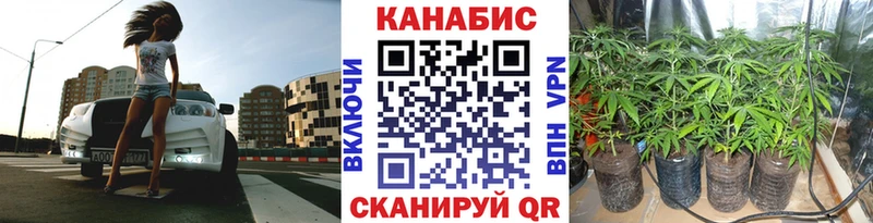 Марихуана планчик  продажа наркотиков  Зверево 